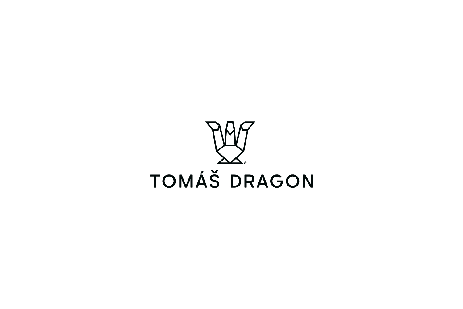 Logo TOMÁŠ DRAGON